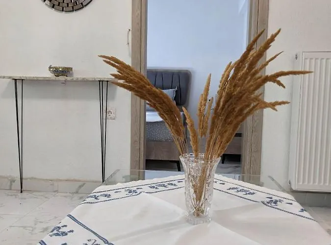 Daire Anchorage In Rachoni