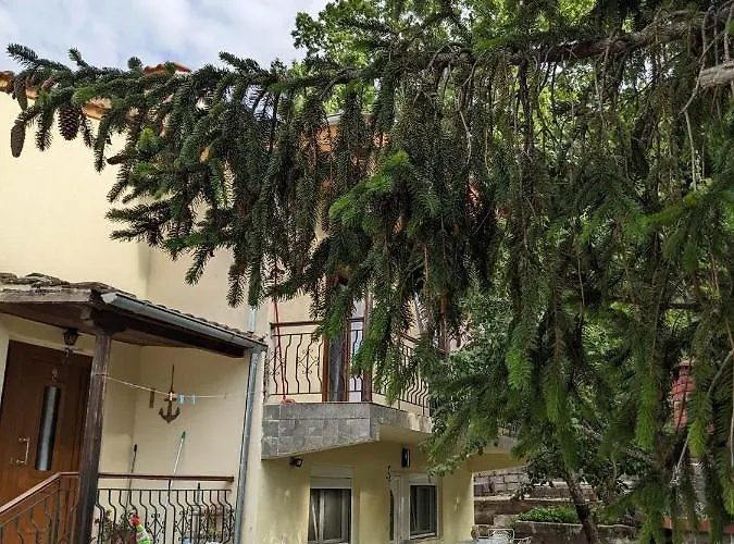 Anchorage In Rachoni Daire *